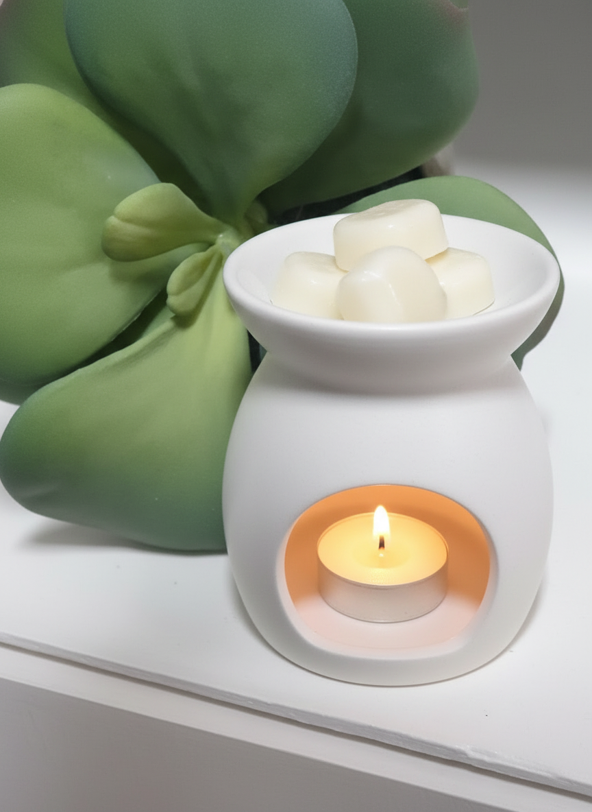 WAX MELTS CLAM 6 PACK