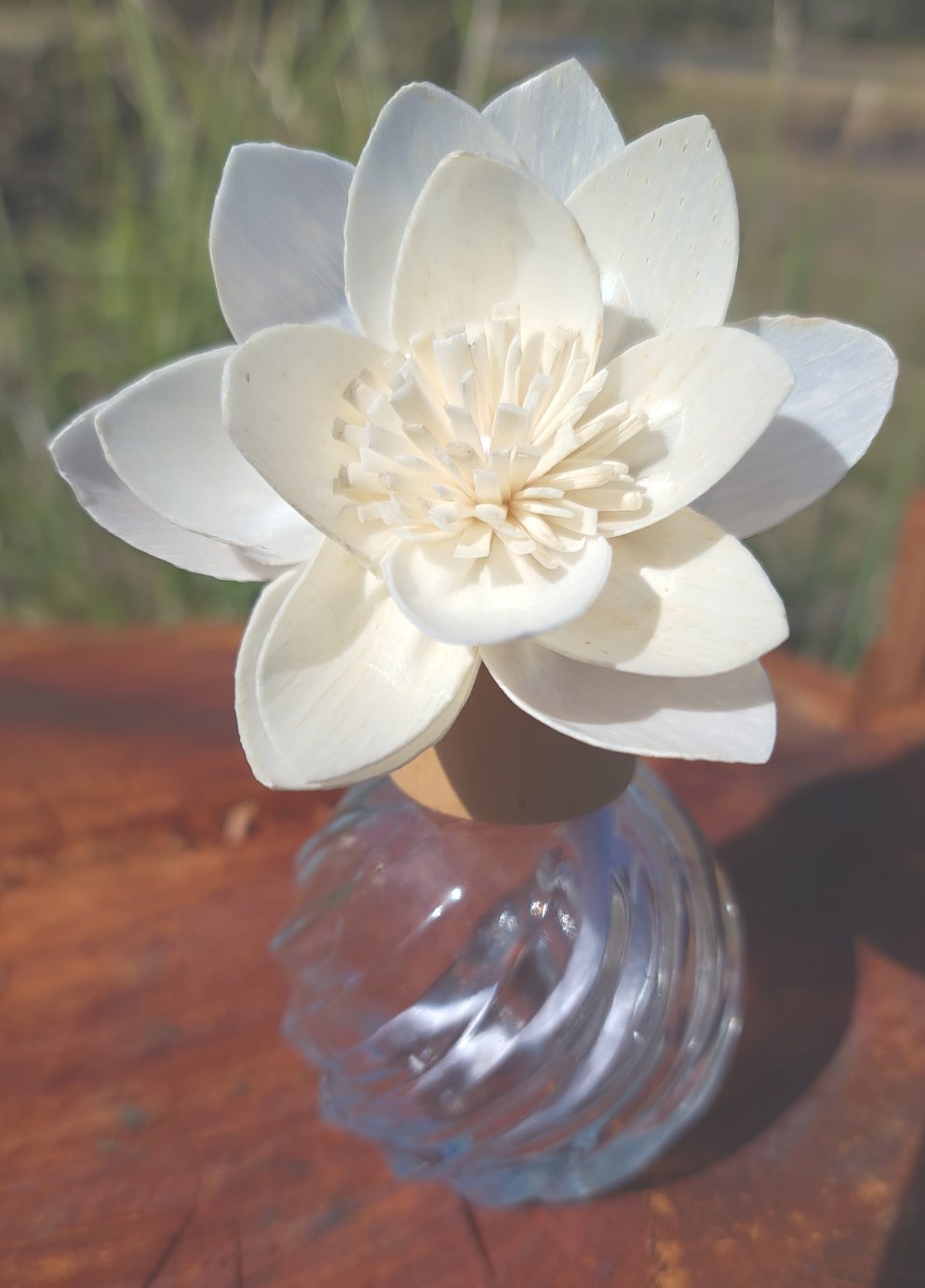 SOLAR FLOWER REED DIFFUSER